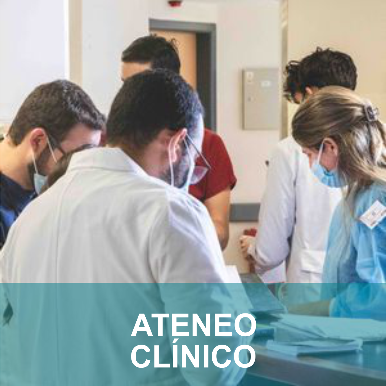 tipo 22